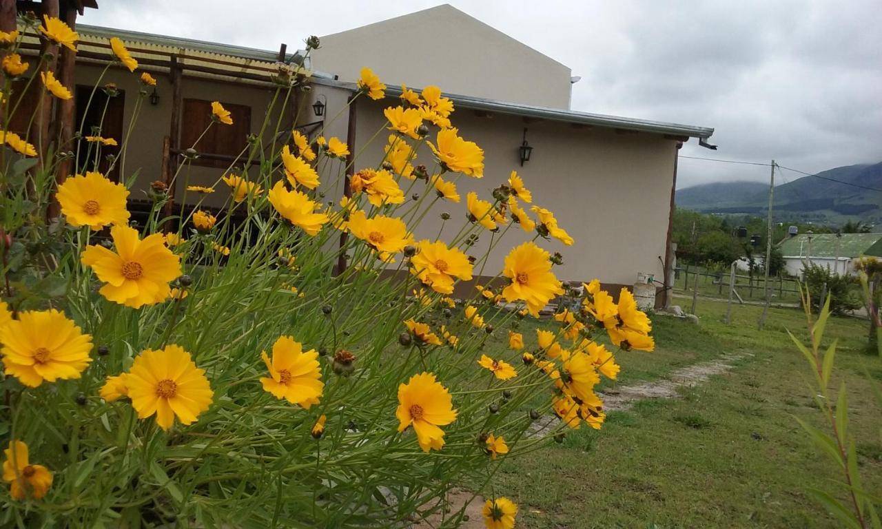 Posada La Sofia ตาฟิเดลบาเญ ภายนอก รูปภาพ